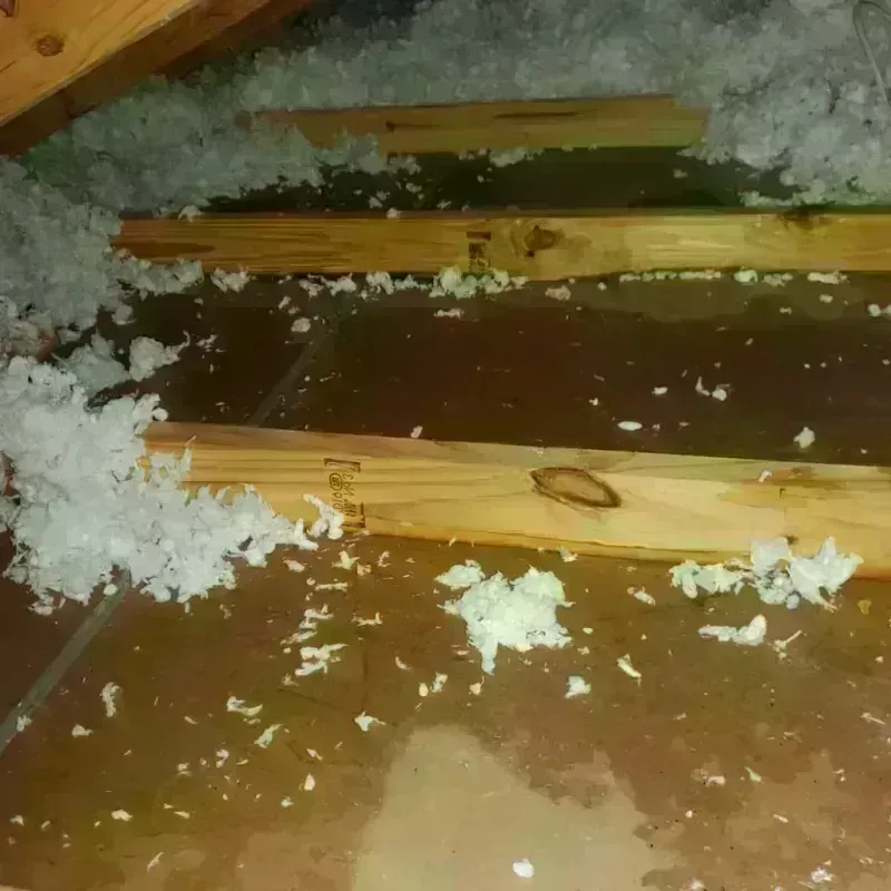 Attic Water Damage in Haw River, NC